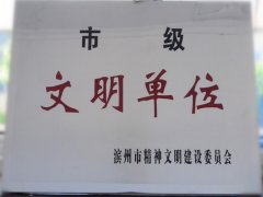 喜訊！公司榮獲“市級(jí)文明單位”稱號(hào)